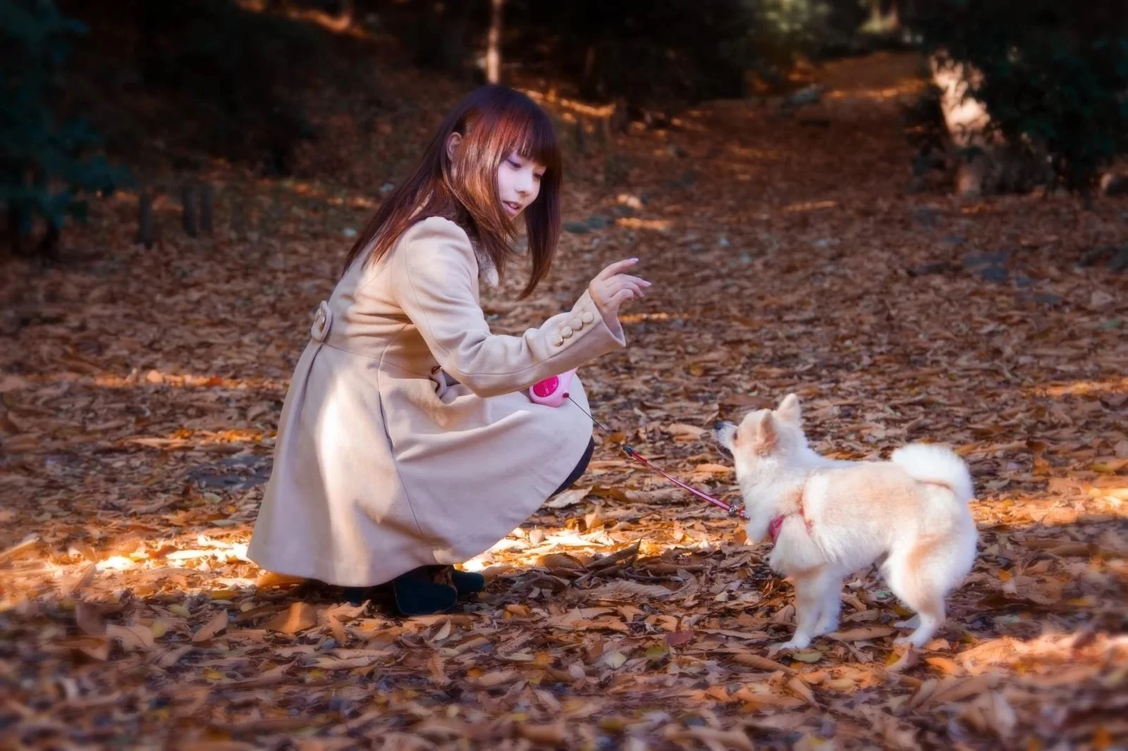 子犬に語り掛ける若い女性