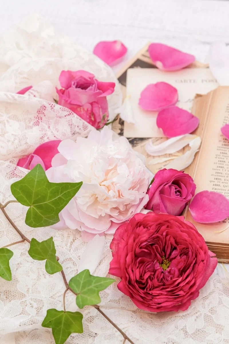 赤い薔薇の花びら