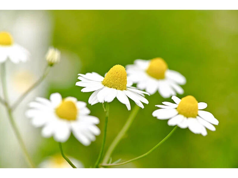 medium_e7cdf47c-b389-4965-b0ba-56458bb10d89