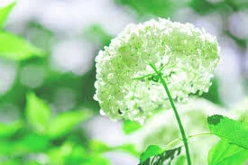 親との関係を新しい視点から見れただけで、心の余裕が生まれて状況も変わり始めました。